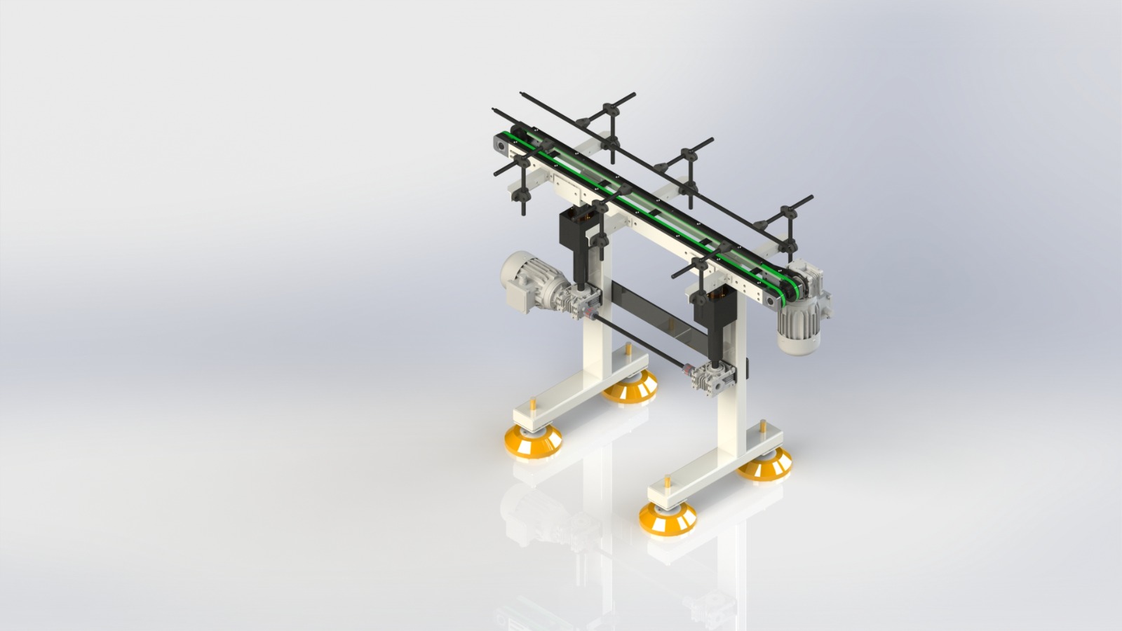 Belt and Vertical Positioning Conveyor